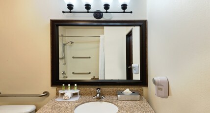 Holiday Inn Express SHOW LOW Room Type - 1 King Bed Standard