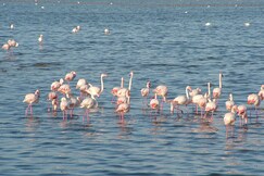 Best Western Hotel Residence Italia