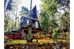 Address of Wild Root Stay | 2 BHK Villa