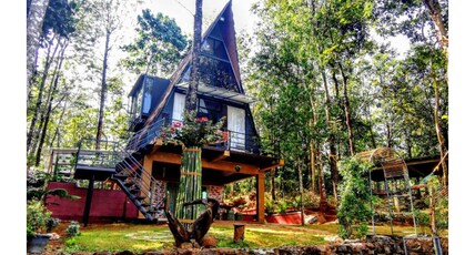 Wild Root Stay | 2 BHK Villa Room Type - Wild Root Stay | 2 BHK Villa