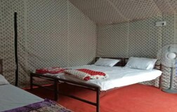 Luxury Camp