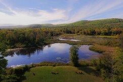 Hampton Inn & Suites Berkshires Lenox