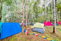 Full Moon Camps & Cafe, Ziro Festival