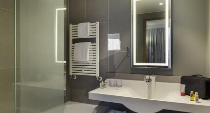 NOVOTEL GENEVE CENTRE - GENEVA Room Type - Executive Room with 1 double bed, accommodating up to 2 adults