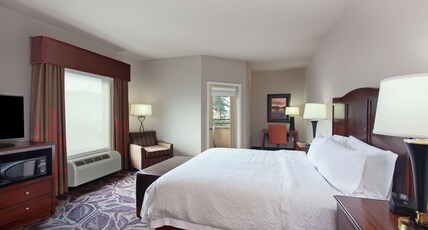 Hampton Inn by Hilton Seattle/Everett Room Type - 1 KING WATER VIEW BALCONY