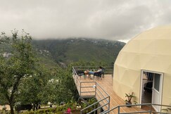 Lushgreen Kodai By Arcadia