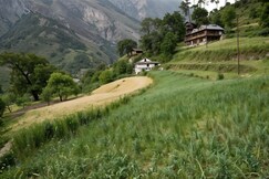 Aurum Valley Premium Duplex in Tirthan by Homeyhuts