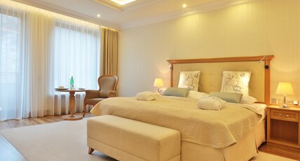 Retro Riverside Wellness Resort Room Type - Superior Double Room