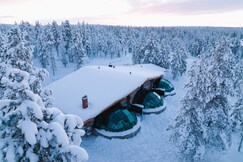 Kakslauttanen Arctic Resort