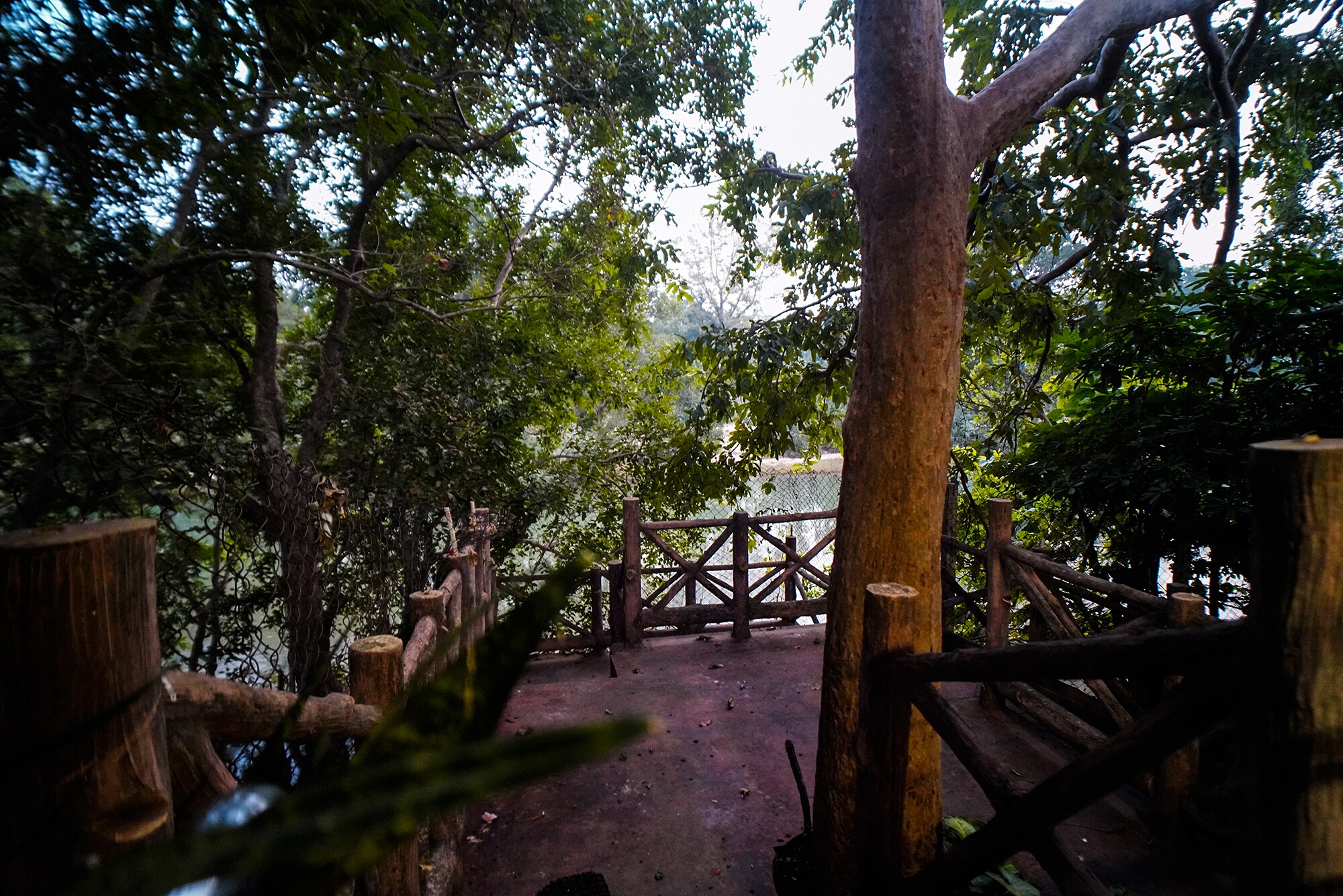 Nirmal Chaya Resort - Tap to explore photos