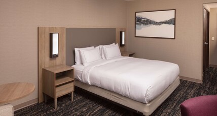 Hilton Asheville Biltmore Park Room Type - 1 KING BED WITH SOFA BED