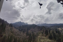 Negi Farmhouse Shangarh