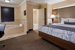 Best Western Hollywood Plaza Inn