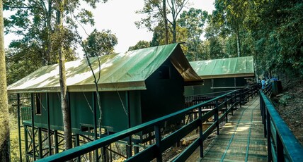 Wild Planet(30 kms from Masinagudi) Room Type - Luxury Pavilion