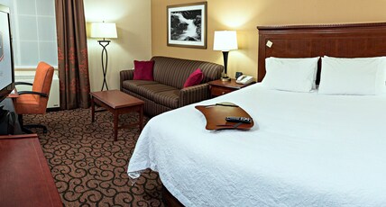 Hampton Inn by Hilton Littleton Room Type - 1 KING SFBD MIC FRG NS