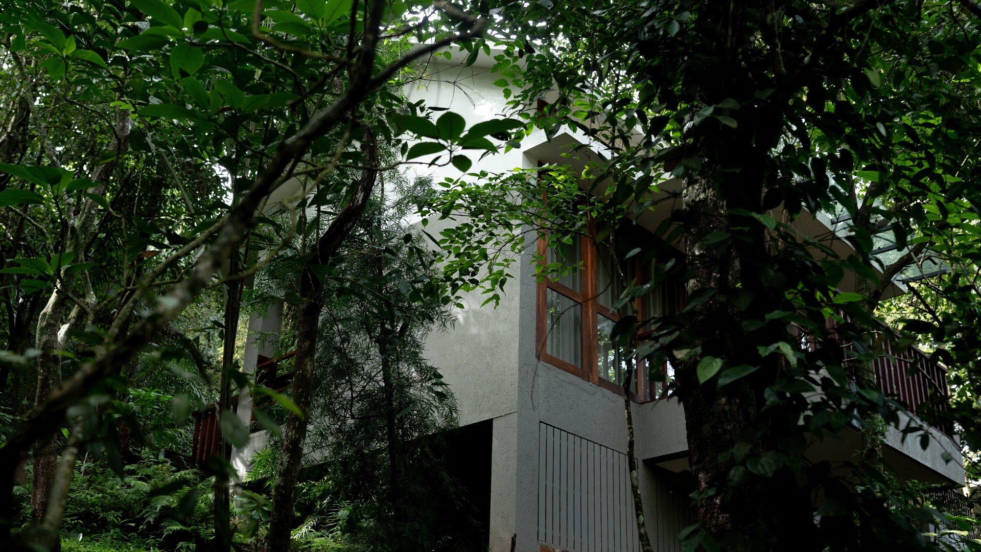 Wayanad Silverwoods - Tap to explore photos