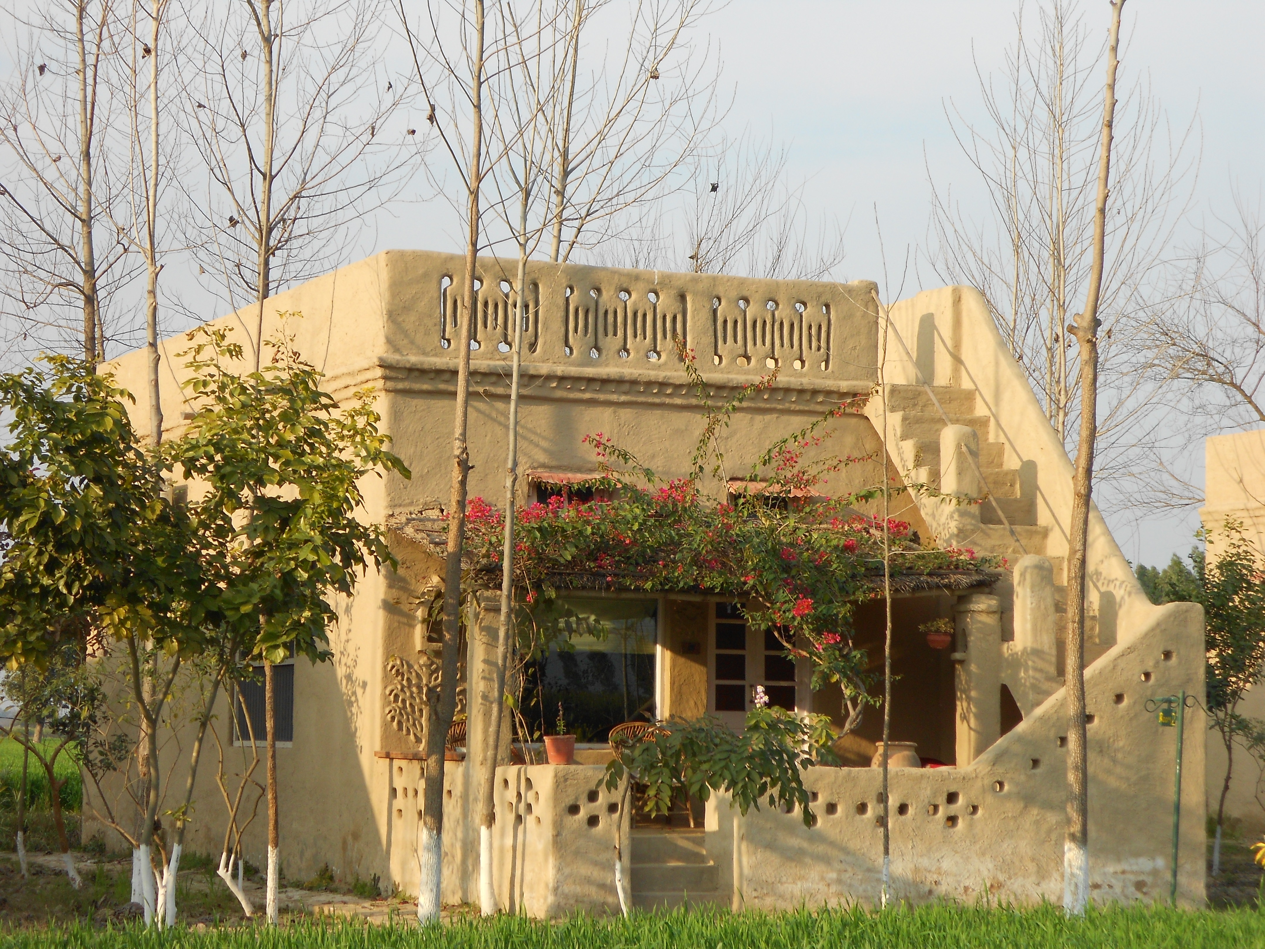 Punjab Village Farm near Amritsar - Tap to explore photos