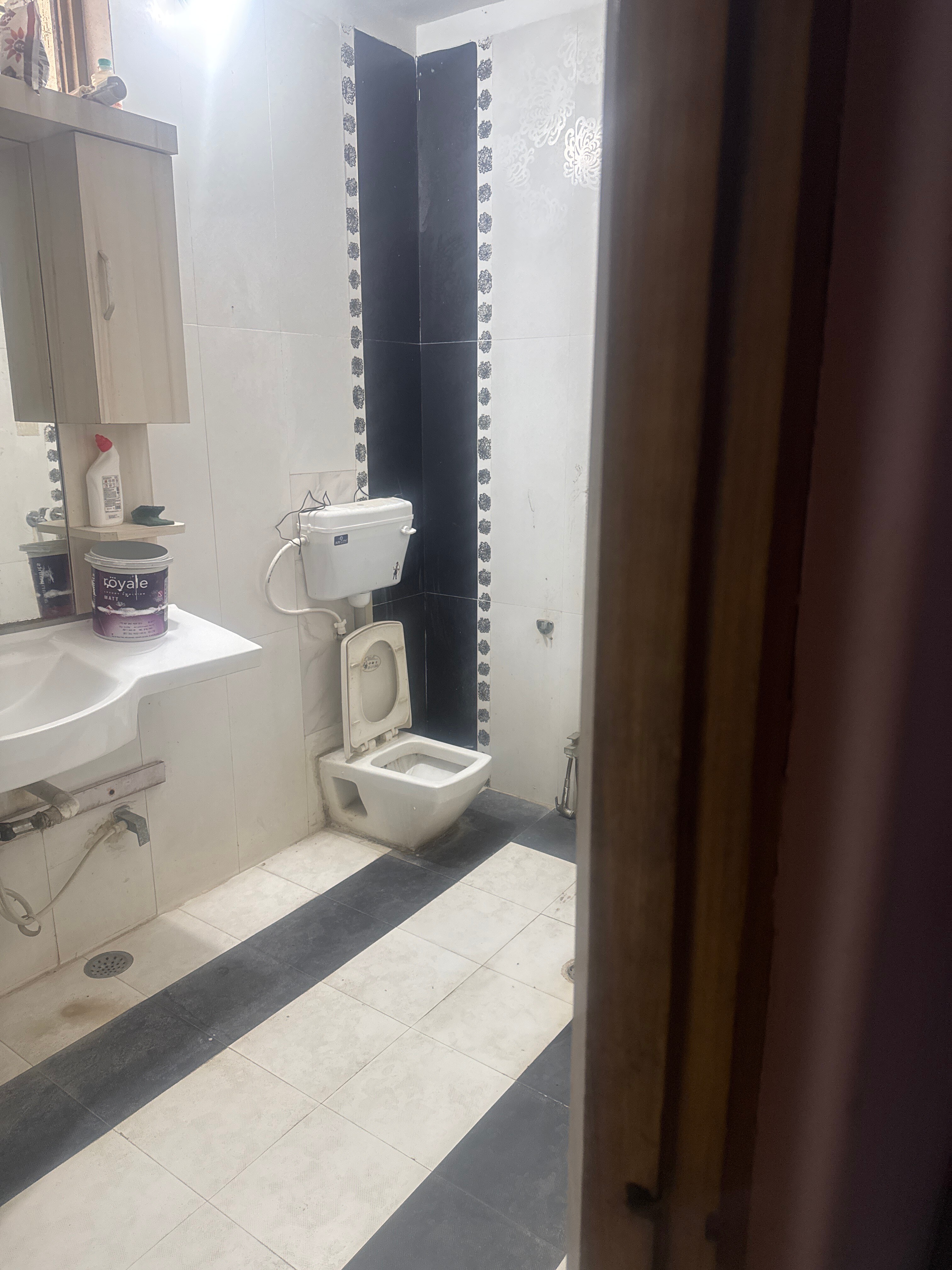 Ginger - Tap to explore photos