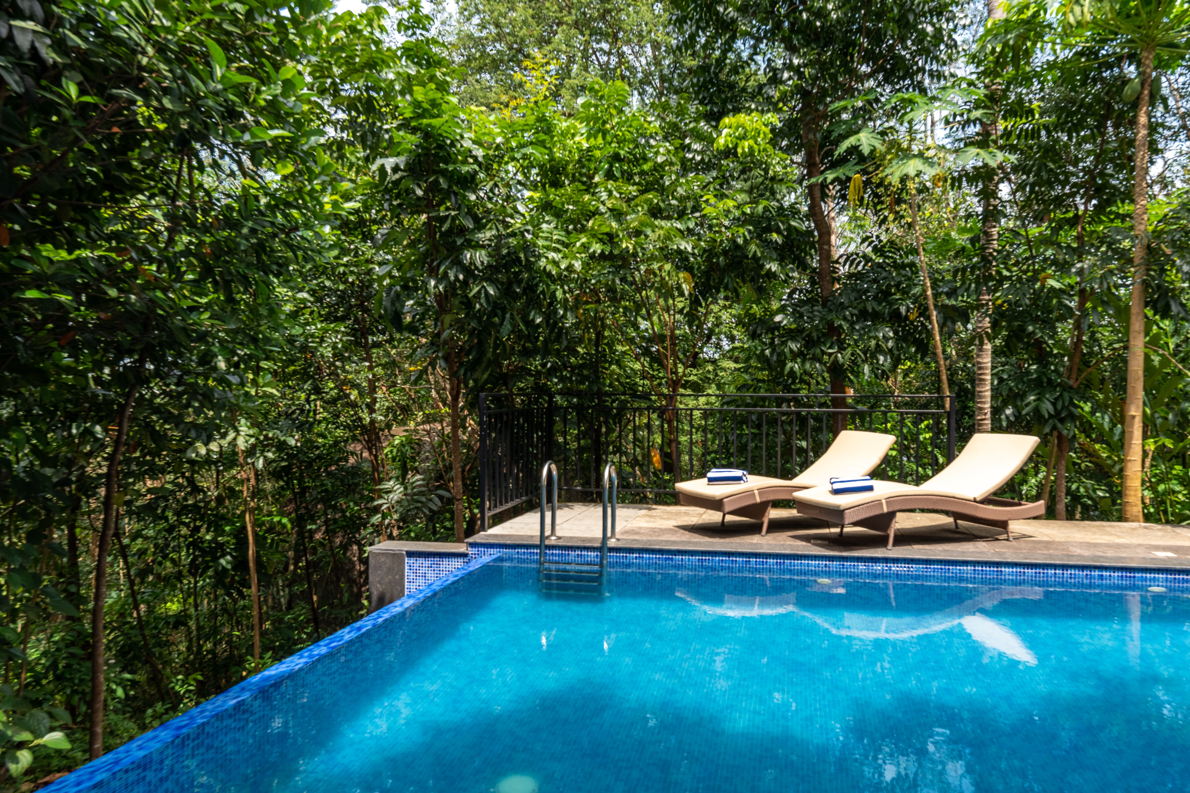 Cottage w pool overlooking Jatayu | Arayaal - Tap to explore photos