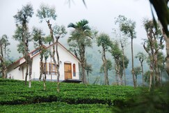 Tea Terrace Vythiri Resort