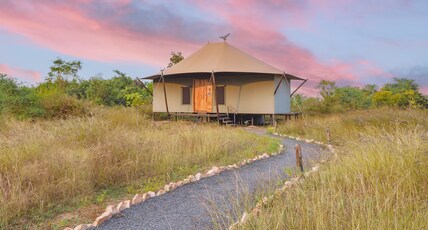 Trees N Tigers Tadoba National Park Room Type - Luxury Tent