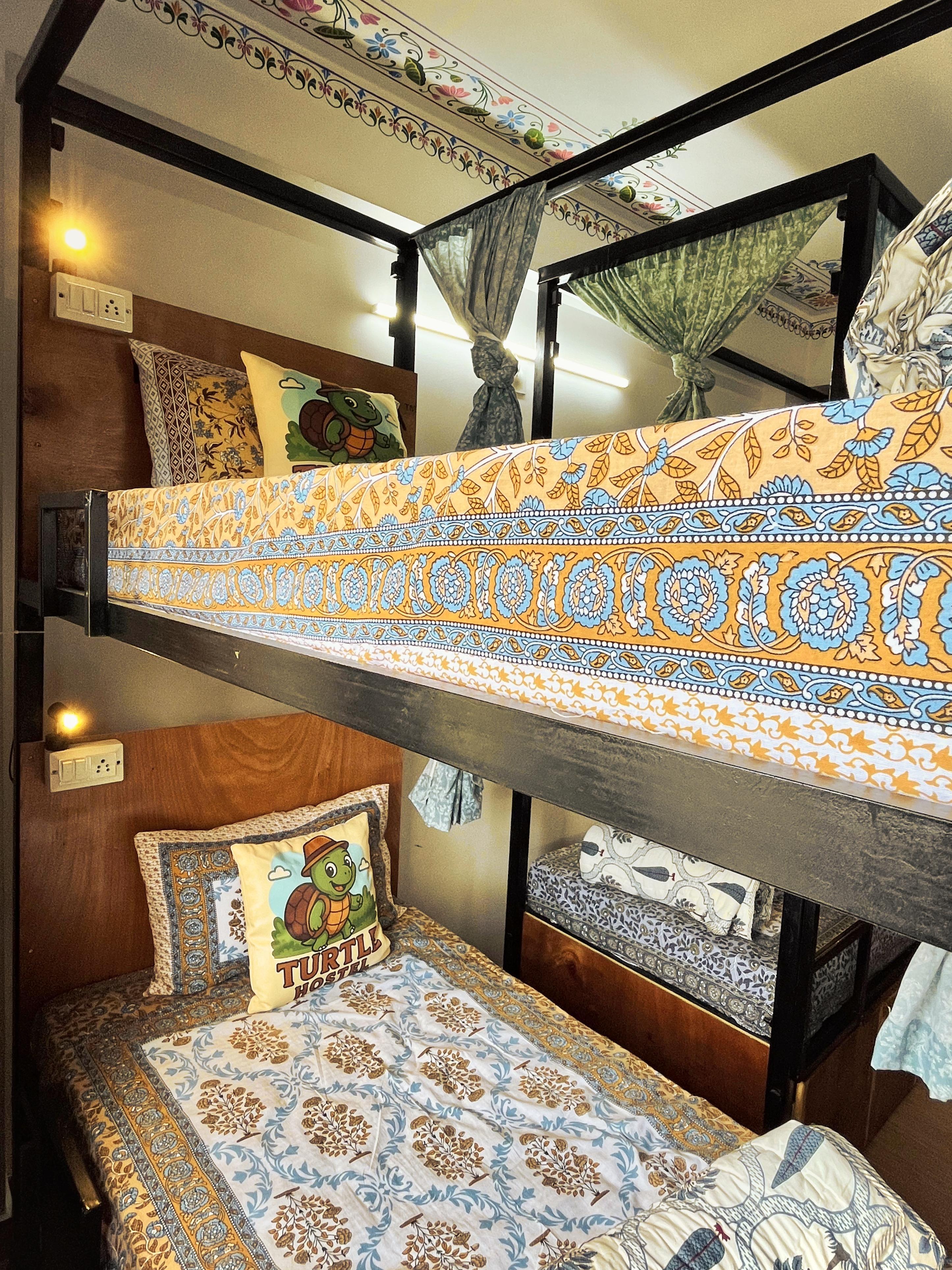 Turtle Hostel Udaipur |50 Metres from Lake - Tap to explore photos