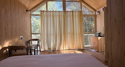 BONFIRE: LAKEVIEW TREEHOUSE Room Type - JUNIOR LAKEVIEW SUITE