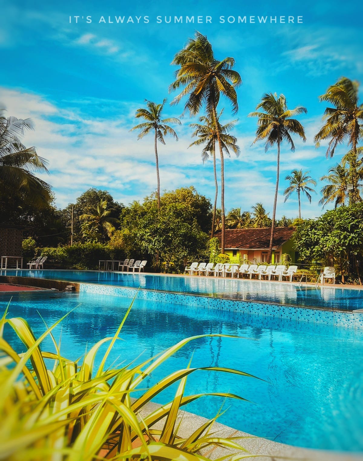 Summer Sands Beach Resort - Tap to explore photos
