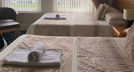 OYO Baytree Lodge Room Type - Standard Family of 3 Room