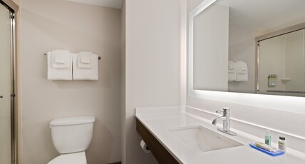 Holiday Inn Express Hotel & Suites Largo-Clearwater Room Type - STANDARD ROOM