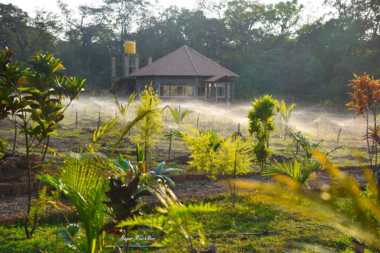 Gangavana Homestay - Tap to explore photos