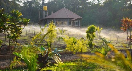 Gangavana Homestay Room Type - Gangavana Homestay