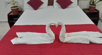Nature Villa Room Type - Classic Non AC Room