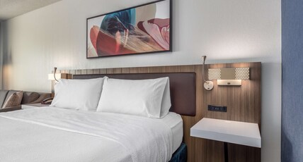 Hilton Garden Inn Chicago / Oak Brook Room Type - 1 KING ACC RM W BATHTUB