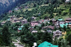 Shining Star Homestay | Rooms & Kitchen