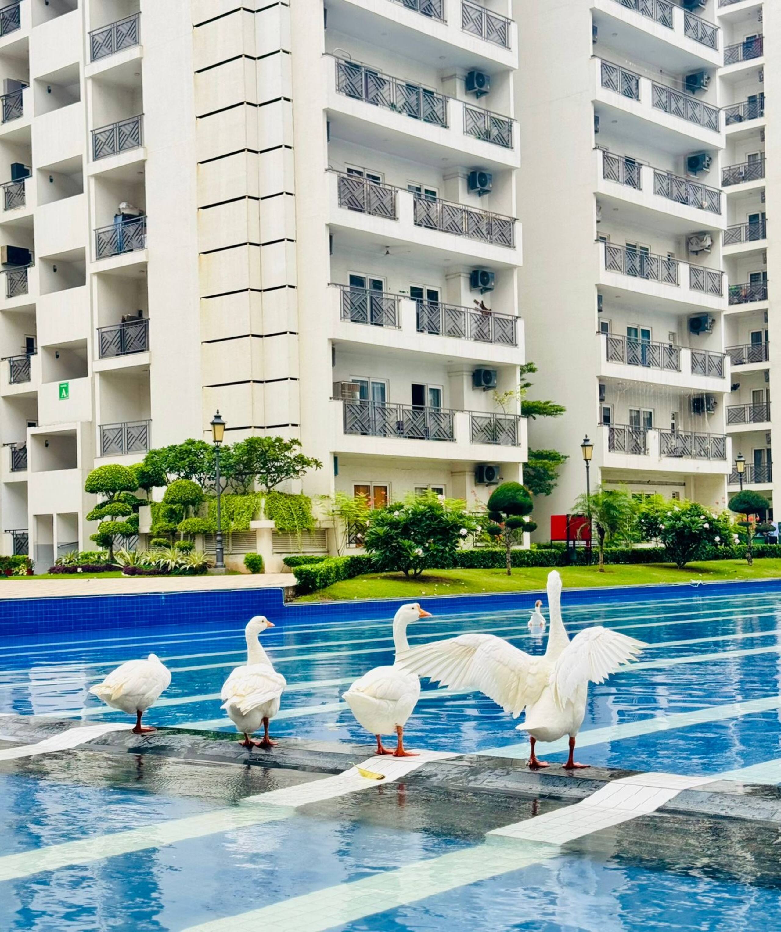 Aravali Hill CherisingBeauty 1BHK CP3Flower Valley - Tap to explore photos