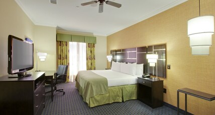 Holiday Inn Channelview Room Type - 1 King Standard Communication Accessible Roll Shower