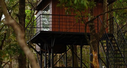 Misty Green Hills Parks & Cottages | Infinity Swimming Pool Room Type - Tree House Non Ac