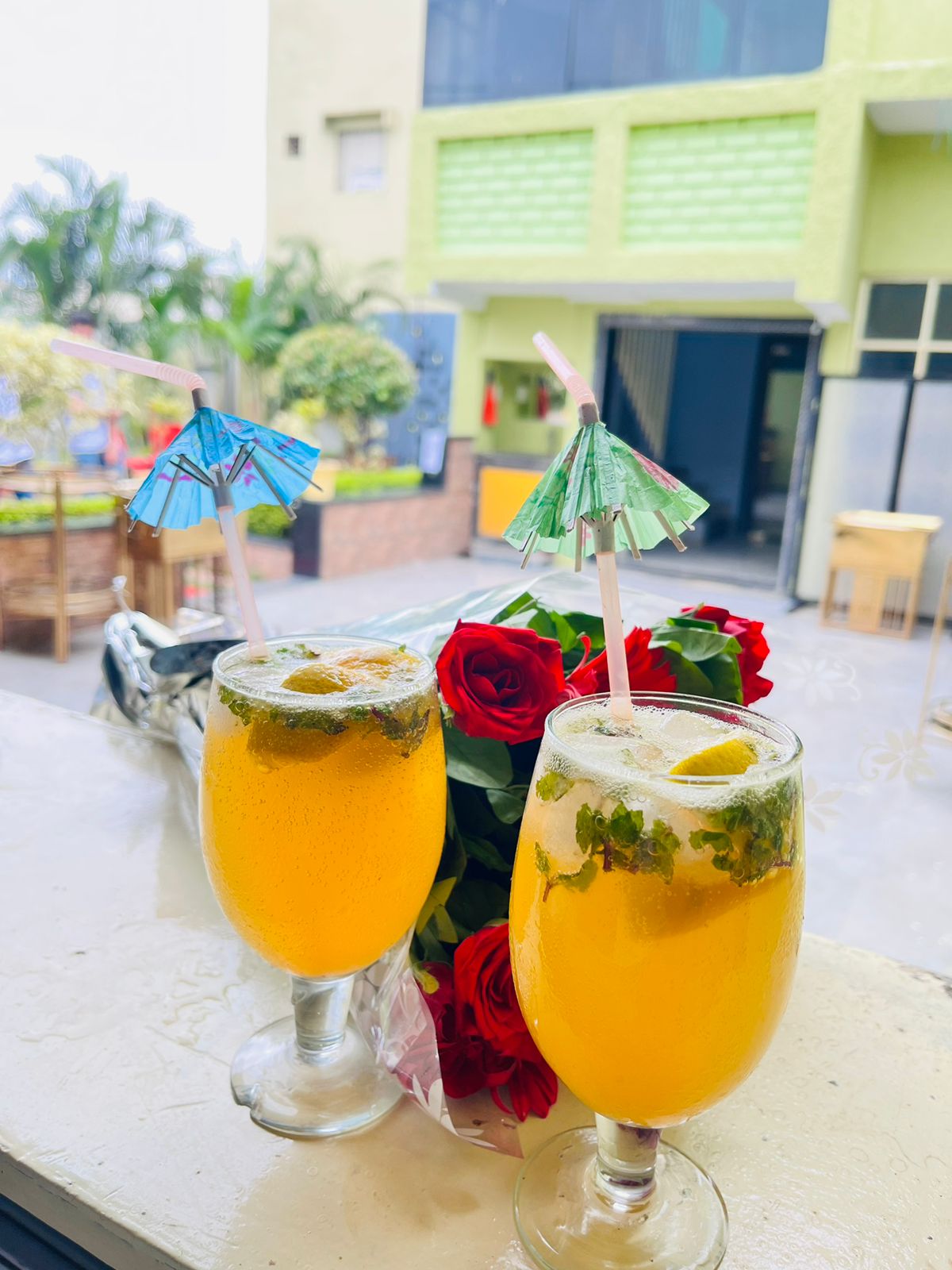 BRIJ palace - Tap to explore photos