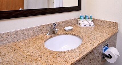 Holiday Inn Express Hotel & Suites Lancaster-Lititz Room Type - 1 King Standard