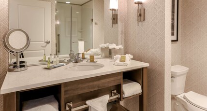 DoubleTree by Hilton Evansville Room Type - 1KNG BD CORNER STE-SOFABED