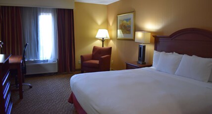 DoubleTree by Hilton Asheville - Biltmore Room Type - 1KNG SUITE SOFABED NONSMOK