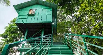 Wayside Cottage | Private Rooms & Treehouse Room Type - Tree House