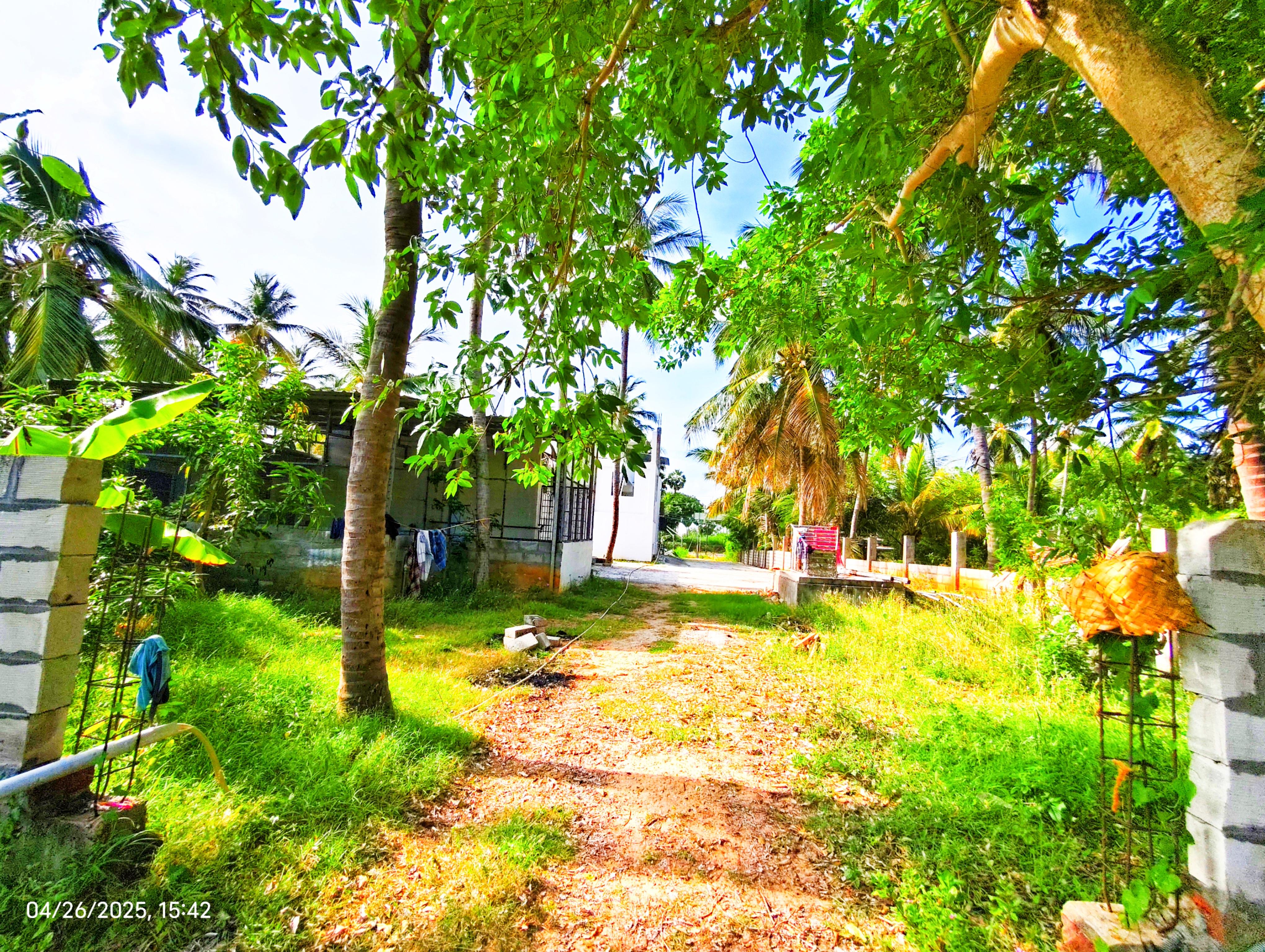 Thangamani Garden - Tap to explore photos