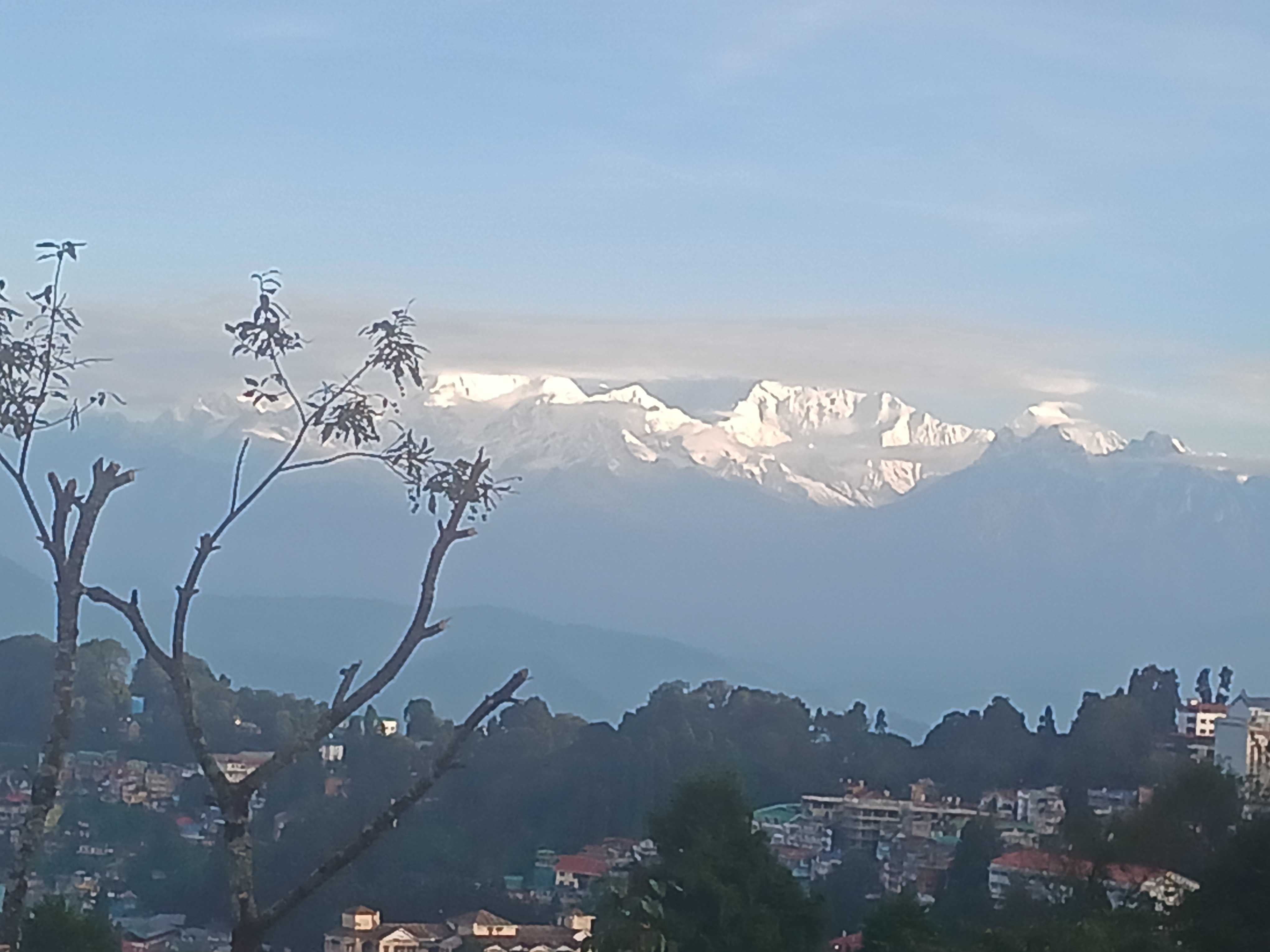 Hotel Azalea Holidays - Tap to explore photos