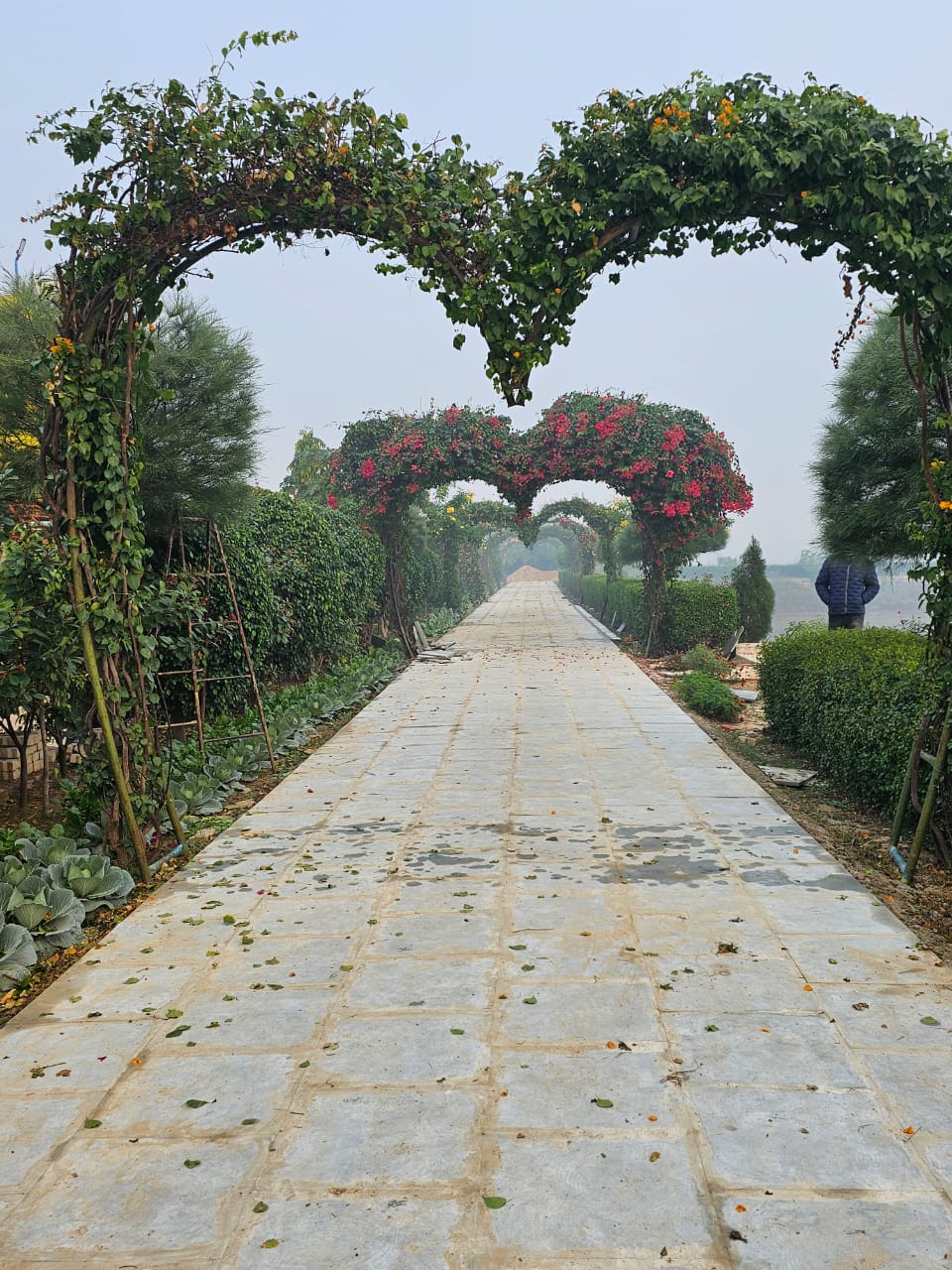 Shaurya Resorts - Tap to explore photos