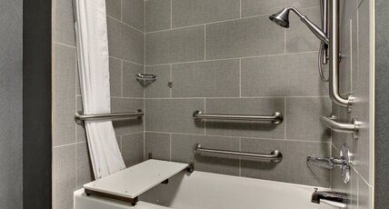 Holiday Inn Express Hotel & Suites Albany Room Type - 1 King Suite Mobil Access