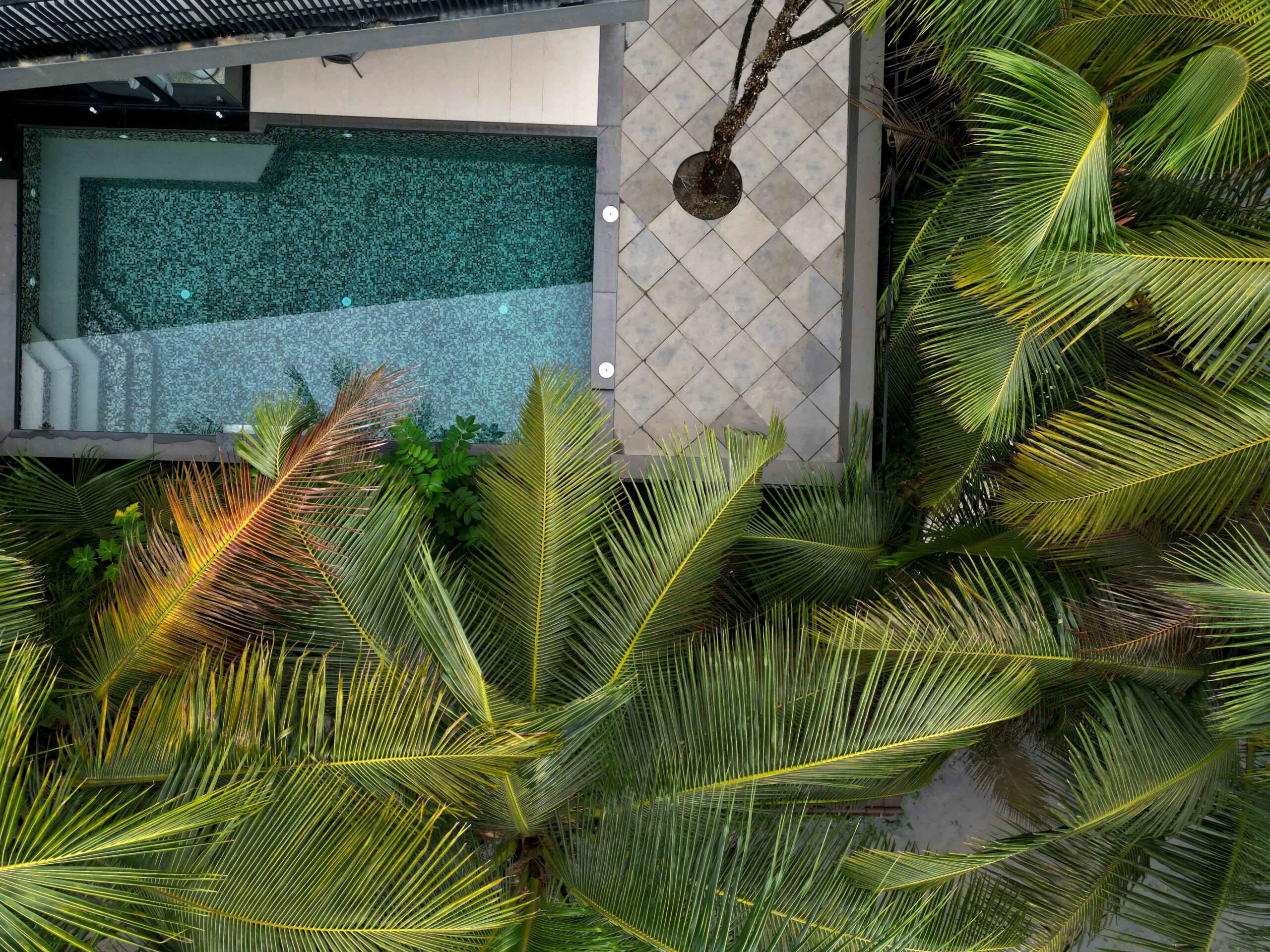 Chapter ONE Party Villa Private Pool Chef BBQ - Tap to explore photos