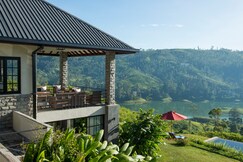 Camellia Hills
