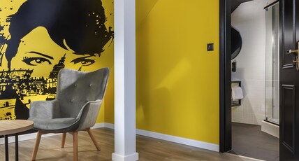 ibis Styles Dresden Neustadt Room Type - Superior room